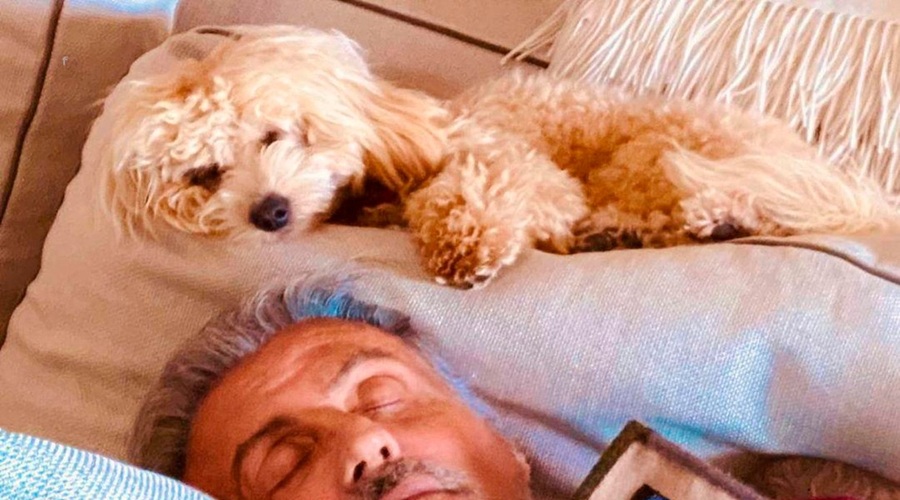 Je Stallone zares posvojil tiste ljubke želvice iz filma Rocky? (foto: profimedia)