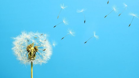 Leto 2021 je bilo (po podatkih ZN) eno izmed najtoplejših v zgodovini