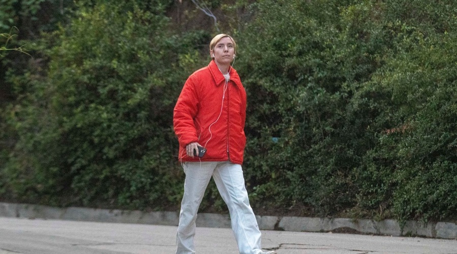Je ta švedska pevka nova izbranka svojega soseda Brada Pitta? (foto: Profimedia)