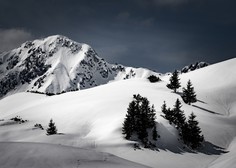 Konec tedna štirje plazovi v avstrijskih gorah terjali devet življenj