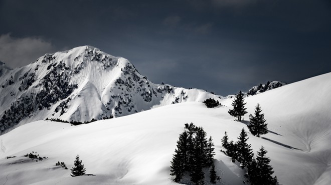 Konec tedna štirje plazovi v avstrijskih gorah terjali devet življenj (foto: profimedia)