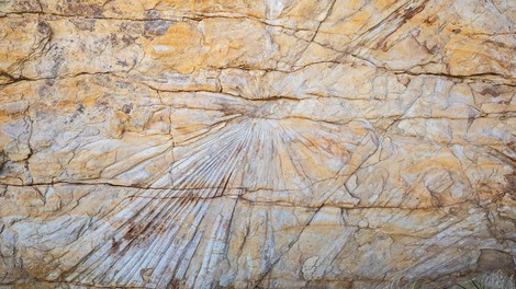 Človek, ki lahko po sestavi skal pojasni prve tri milijarde let življenja na našem planetu