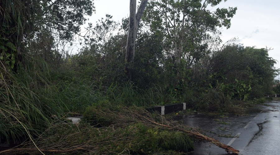 Po Ani je v nekaj tednih Madagaskar prizadel še ciklon Batsirai (foto: profimedia)