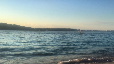 V Sydneyju po smrtonosnem napadu morskega psa zaprta večina plaž