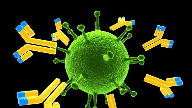 Kvaliteta protiteles se izboljša mesece po cepljenju z mRNK, kaže ameriška študija (foto: profimedia)