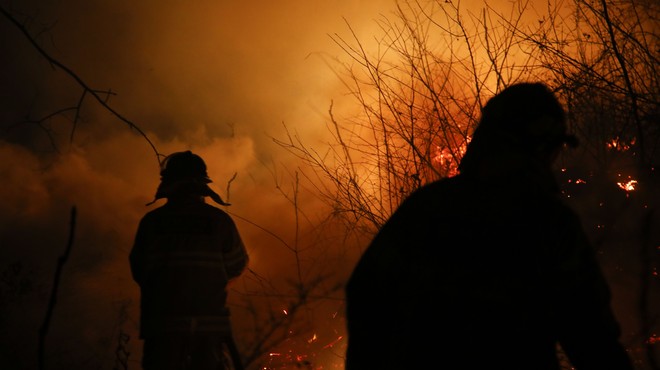 Neverjeten vzrok požarov v naravi (foto: Profimedia)