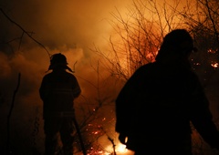 Neverjeten vzrok požarov v naravi