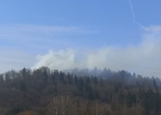 Znane podrobnosti požara na Rožniku: toliko hektarjev gozda je uničenega