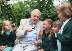 Sir David Attenborough: dokumentarist, ki najbolj od vsega v naravi ljubi TO žival