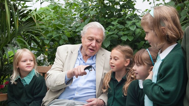 Sir David Attenborough. (foto: Profimedia)