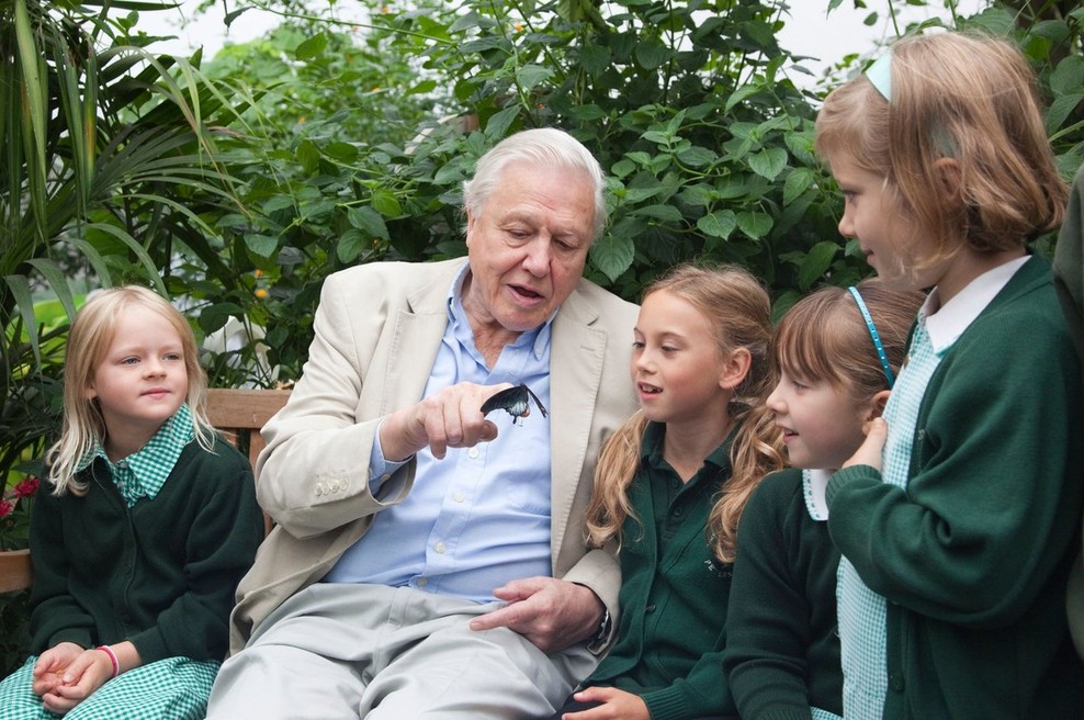 Sir David Attenborough. (foto: Profimedia)