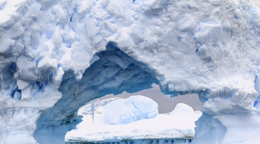 Neverjetno! TA vrsta živali je zaradi visokih temperatur v ozračju postala celo večja (foto: Profimedia)