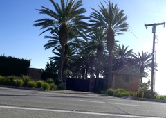 TA ameriška glasbena ikona je vrata svojega razkošnega doma odprla ukrajinskim beguncem