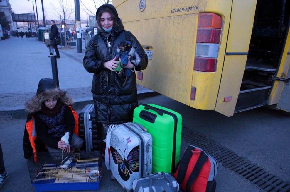 Toliko oseb je v Sloveniji zaprosilo za začasno zaščito (foto: Profimedia)