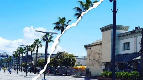 VIDEO: Kaj? Koprska promenada bo ostala brez palm?