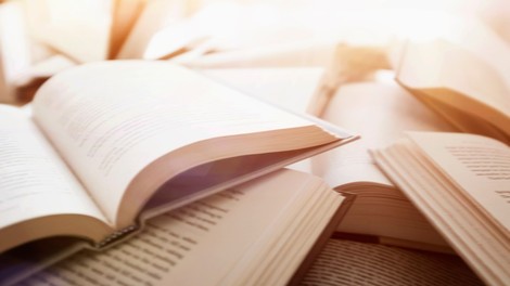 Beletrina na čelu kar treh razvojnih evropskih projektov