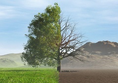 V Sloveniji podnebne spremembe vse bolj vplivajo na ekosisteme