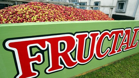 Bo Fructal spet ajdovski in Elan slovenski?