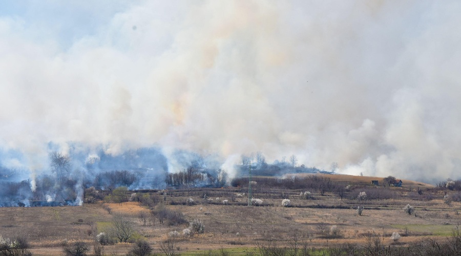 Fotografija je simbolična. (foto: Profimedia)
