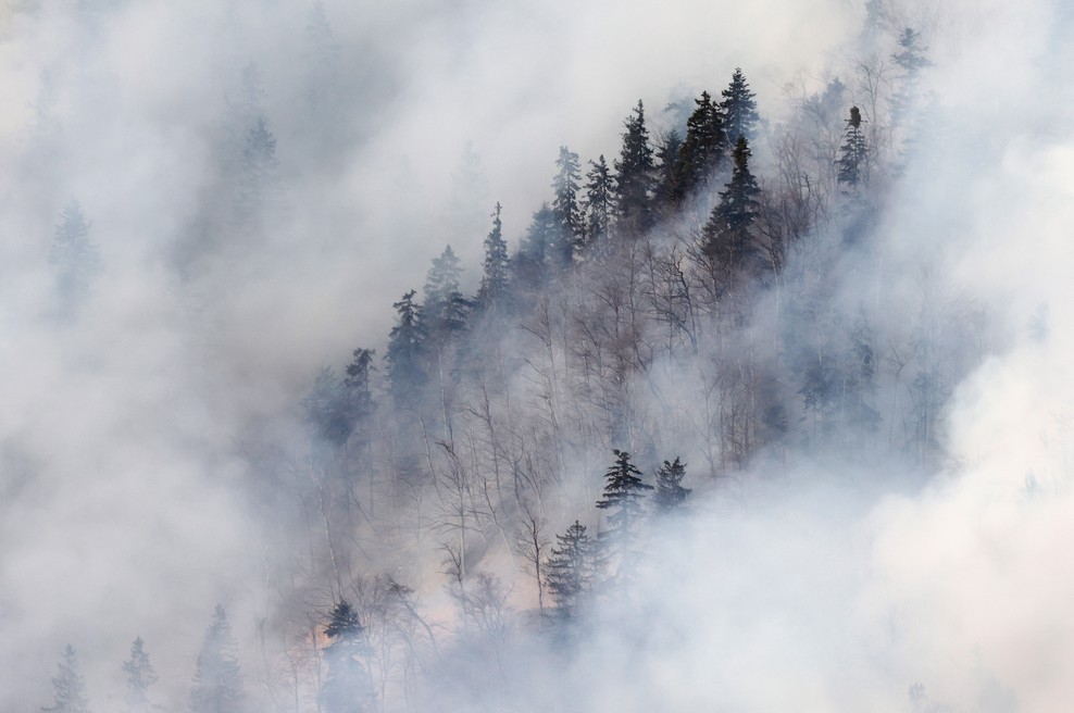 Požar v Preddvoru. (foto: Profimedia)
