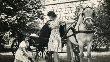 Izvedeli smo razlog - ZAKAJ je corgi že 80 let najljubša pasma britanske kraljice Elizabete