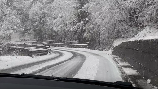 (VIDEO) Bodo tudi primorski vozniki ponovno potrebovali zimsko opremo?