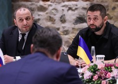 Ukrajinski vodja pogajanj: Moskva pristala na skoraj vse zahteve Ukrajine