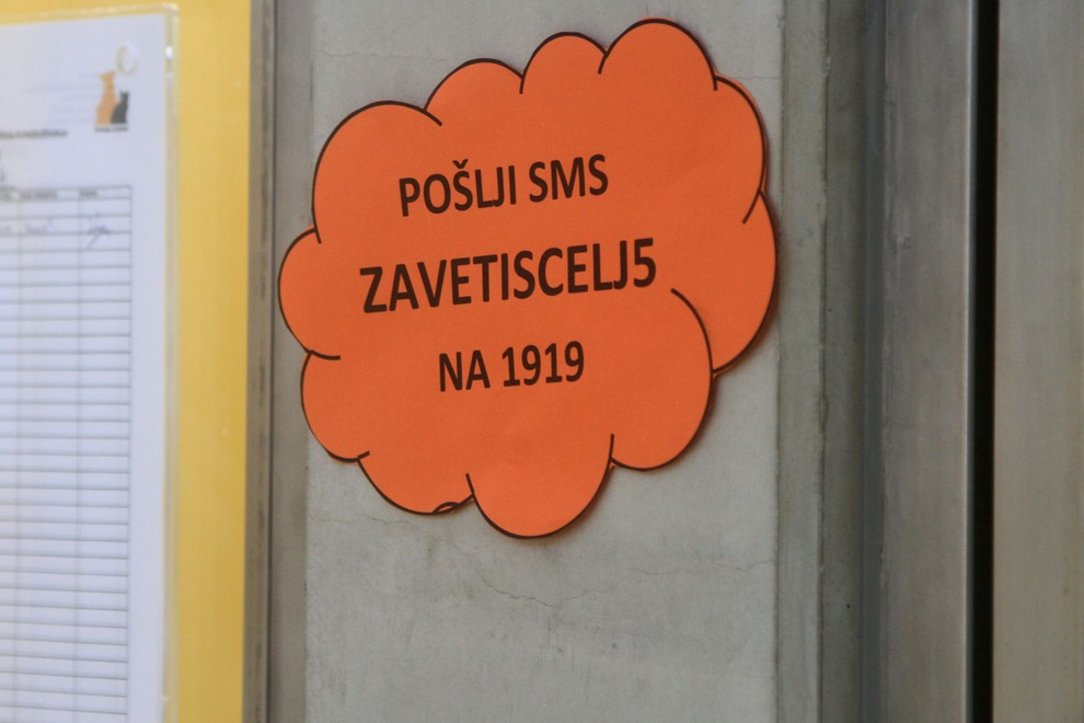 FOTO iz Zavetišča Ljubljana: ob svetovnem dnevu zapuščenih živali!