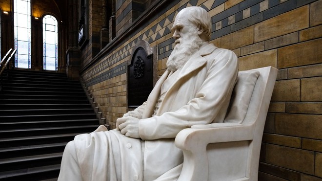Bizarno! Ukradene predmete Charlesa Darwina vrnili na NEPRIČAKOVAN način (foto: Profimedia)