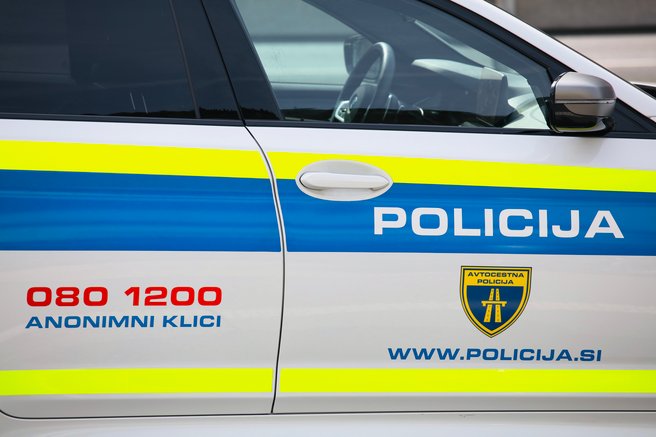 Grozljivka na naši cesti: sredi trde teme na prehitevalni pas pridrvele živali, ena poginila