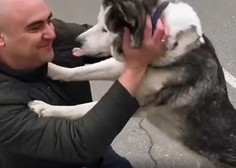 (VIDEO) Raznežili se boste! Čustveno snidenje lastnika in psa po ruskem napadu