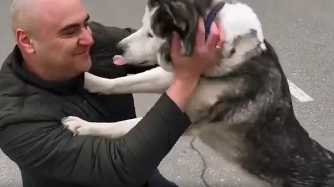(VIDEO) Raznežili se boste! Čustveno snidenje lastnika in psa po ruskem napadu (foto: Instagram/belwarriors)