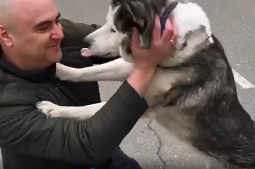 (VIDEO) Raznežili se boste! Čustveno snidenje lastnika in psa po ruskem napadu (foto: Instagram/belwarriors)