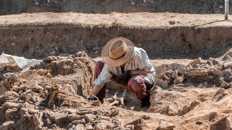 V središču Kopra naleteli na grozovito najdbo