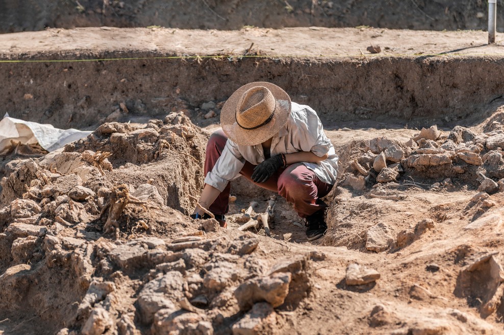 V središču Kopra naleteli na grozovito najdbo (foto: Profimedia)
