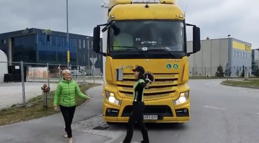To so volilni avtobusi slovenskih strank (ena si je celo omislila tovornjak) (foto: FB Naša dežela)