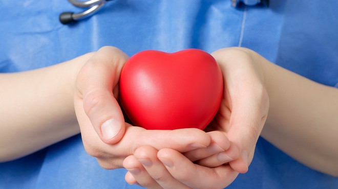 Darovanje organov: koliko src smo že presadili v Sloveniji? (foto: Profimedia)