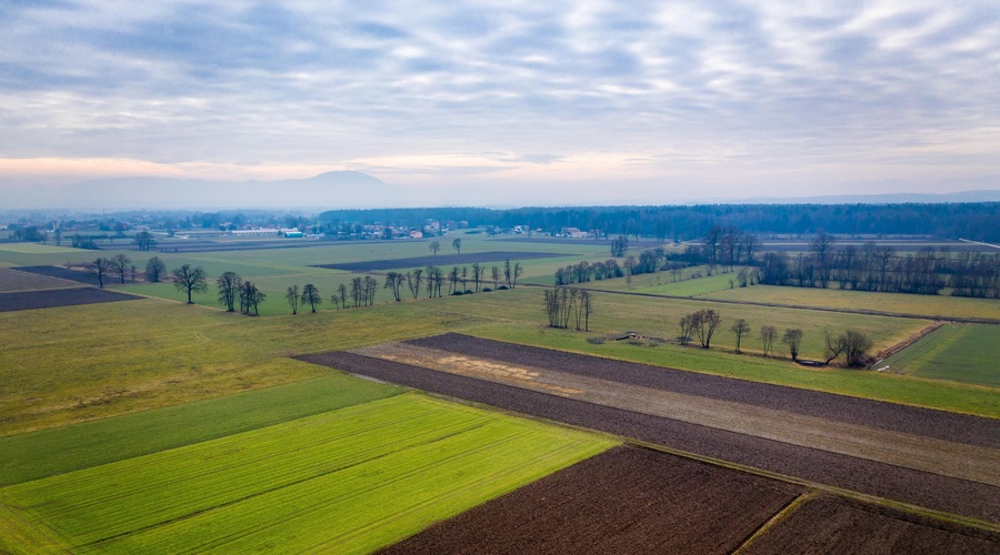 Korošci v skrbeh! Kmetje uporabili kar 510 ton svinca? (foto: Profimedia)