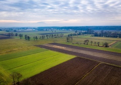 Korošci v skrbeh! Kmetje uporabili kar 510 ton svinca?