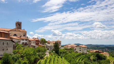 Nova kulinarična zgodba: Goriška Brda POVEZANA, kot še nikoli doslej