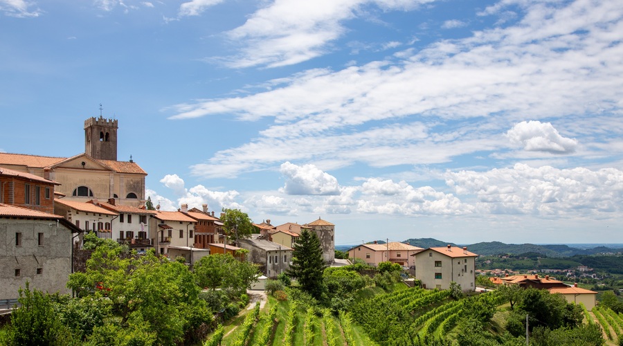Nova kulinarična zgodba: Goriška Brda POVEZANA, kot še nikoli doslej (foto: Profimedia)