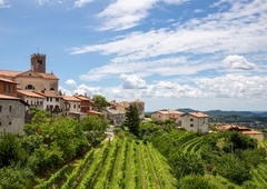 Nova kulinarična zgodba: Goriška Brda POVEZANA, kot še nikoli doslej