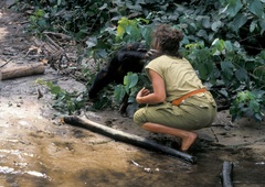 IZJEMEN uspeh! Zaščiteni gozd bo odslej dom za vrsto ogroženih živali, ki so jih rešili iz krempljev divjih lovcev