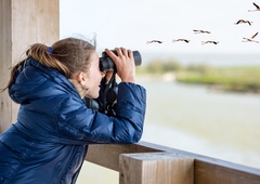 V Sloveniji opazili NOVO vrsto ptice, ki je prava REDKOST tudi v Evropi
