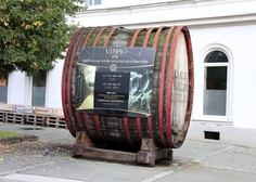 Največja in najstarejša klasična vinska klet v Evropi ponovno sprejema obiskovalce