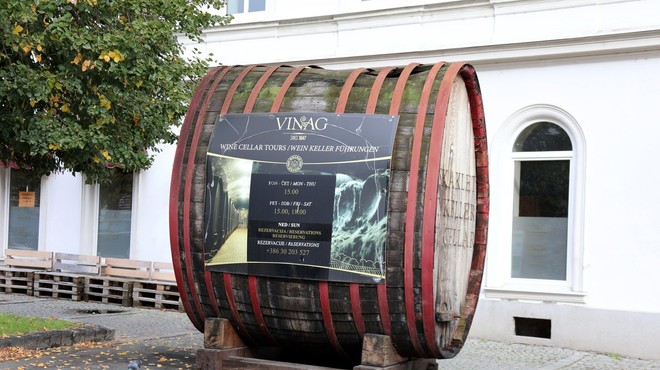 Največja in najstarejša klasična vinska klet v Evropi ponovno sprejema obiskovalce (foto: Profimedia)