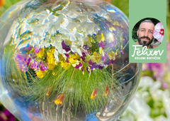 Kako poskrbeti za boljšo kaljivost, zdravo rast, lažjo nego, bogatejši pridelek in cvetenje