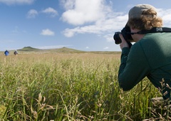 SPOZNAJTE najstarejšo kopensko žival na svetu, ki šteje 190 let!