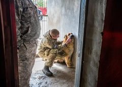 Požrtvovalni Ukrajinci pomagajo zapuščenim živalim preživeti v vojni