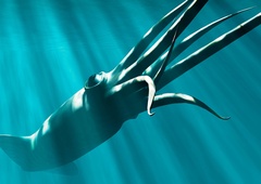 VIDEO: Izjemno redek prizor – iz globin se je dvignil orjaški ligenj. POGLEJTE, koliko tehta!